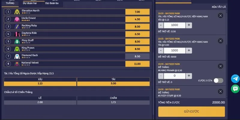 Bí quyết cá cược đua ngựa đạt hiệu quả cao